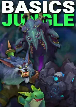 Basics für den Jungle