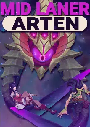 Arten von Mid Lanern