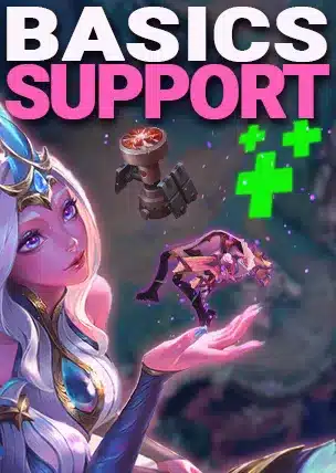Basics für den Supporter