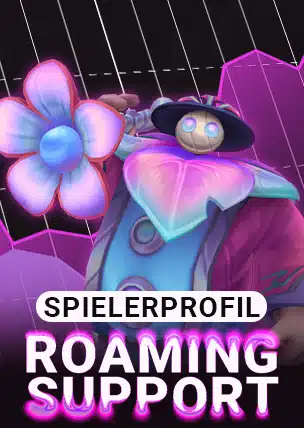 Spielerprofil Roaming Support